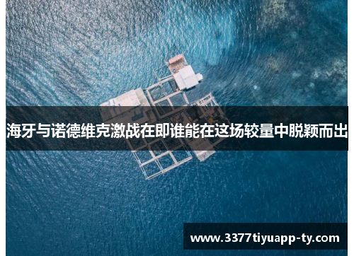 海牙与诺德维克激战在即谁能在这场较量中脱颖而出