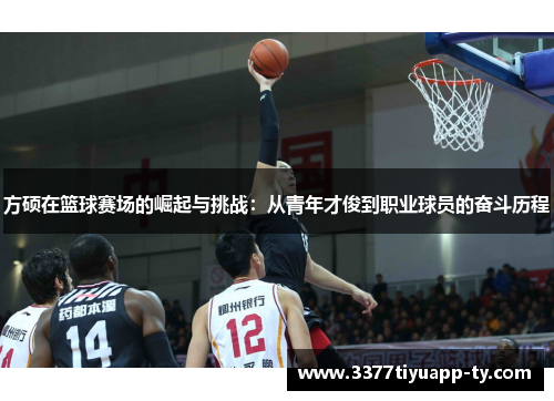 方硕在篮球赛场的崛起与挑战：从青年才俊到职业球员的奋斗历程