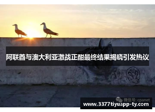 阿联酋与澳大利亚激战正酣最终结果揭晓引发热议